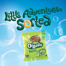 Load image into Gallery viewer, Organix Mini Organic Raisin Snack Boxes Toddler Snacks Multipack 12x14g 12 months+