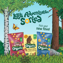 Load image into Gallery viewer, Organix Gruffalo Biscuits Toddler Snacks Multipack 5x20g 12 months+