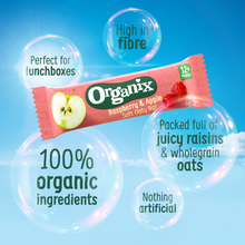 Load image into Gallery viewer, Organix Mini Oat &amp; Raisin Flapjack Bites Toddler Snacks Multipack 4x20g 12 months+
