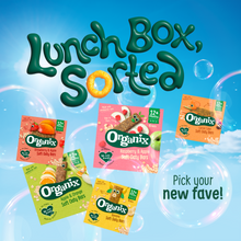Load image into Gallery viewer, Organix Mini Oat &amp; Raisin Flapjack Bites Toddler Snacks Multipack 4x20g 12 months+
