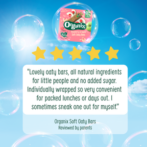 Organix Mini Oat & Raisin Flapjack Bites Toddler Snacks Multipack 4x20g 12 months+