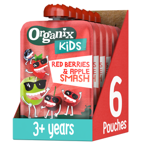 Organix KIDS Red Berries & Apple Smash Pouch Case (6x100g)